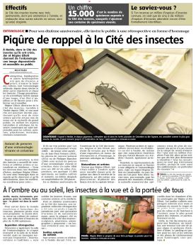 Cité des insectes 20160412